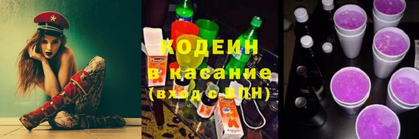 шишки Медвежьегорск