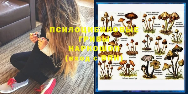 шишки Медвежьегорск