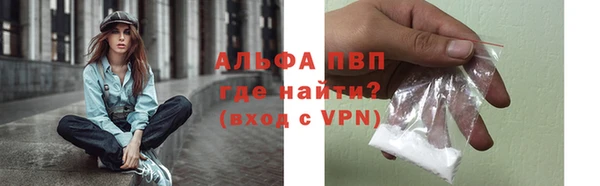 шишки Медвежьегорск