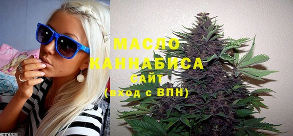 шишки Медвежьегорск