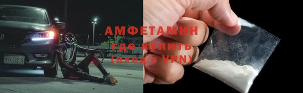 шишки Медвежьегорск
