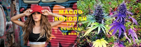 индика Алапаевск