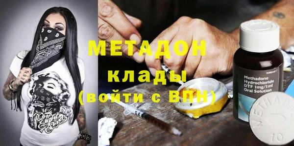 шишки Медвежьегорск