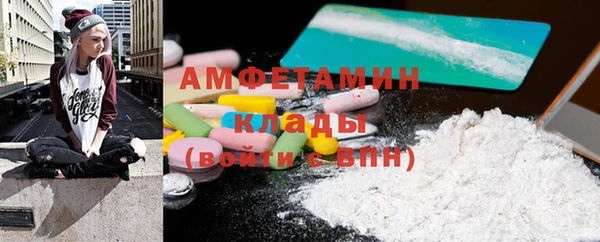 шишки Медвежьегорск