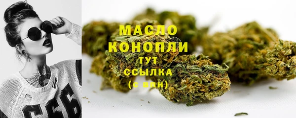 шишки Медвежьегорск